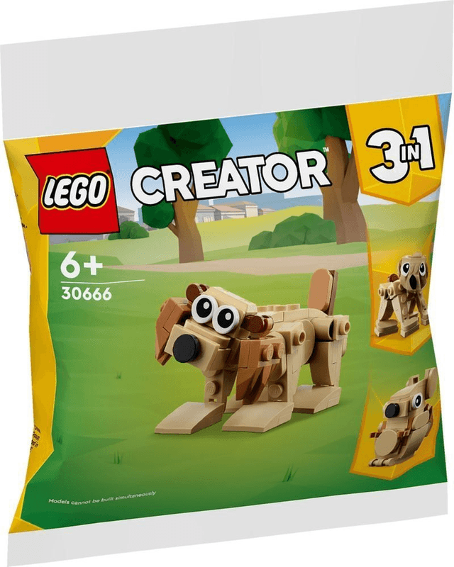 LEGO® Creator 30666 Geschenkset mit Tieren